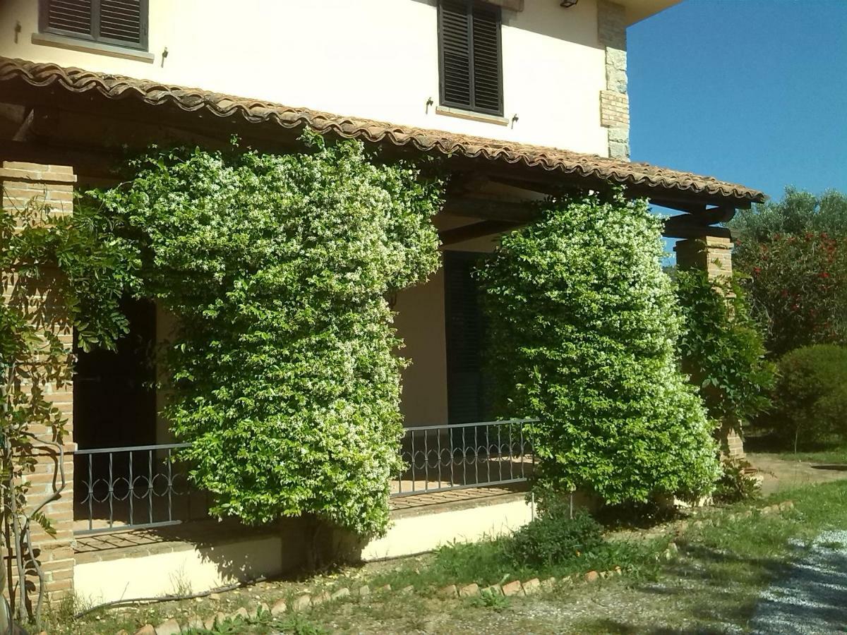 Pathirion B&B Россано Экстерьер фото