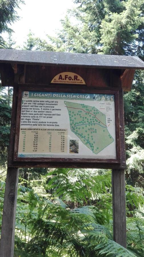 Pathirion B&B Россано Экстерьер фото